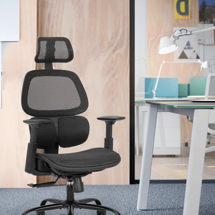 Inbox Zero Ergonomic Mesh Task Chair & Reviews Wayfair